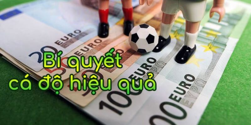 kèo châu âu là gì Đọc kỹ thông tin về 2 đội