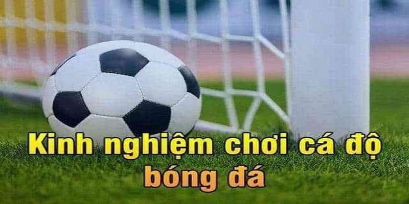 kinh nghiệm chơi cá độ bóng đá kinh nghiệm chơi cá độ bóng đá
