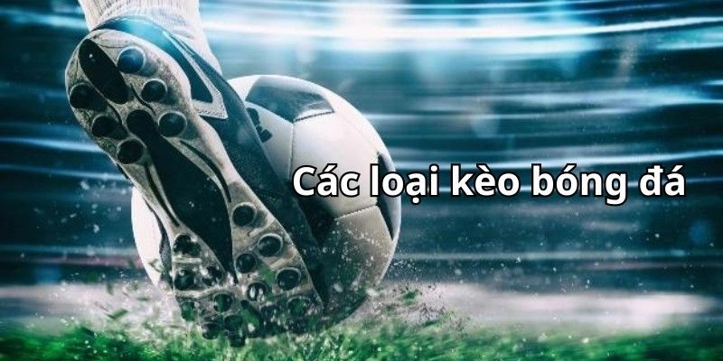 Cách Cá Độ Bóng Đá Hiệu Quả Tại VIN777 Cho Người Mới 2 Có nhiều kèo bóng đá để bạn lựa chọn cho cách cá độ bóng đá
