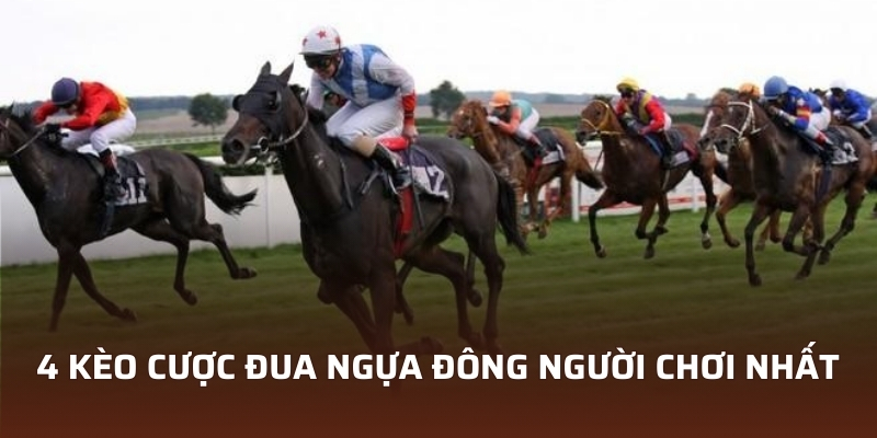 4 Hình Thức Cá Cược Đua Ngựa Tại Vin777 Phổ Biến Nhất 3 4 kèo cược đua ngựa đông người chơi nhất
