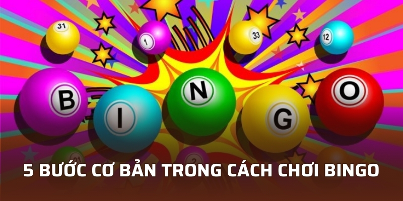 VIN777 Giới Thiệu Cách Chơi Bingo Dễ Hiểu Cho Mọi Đối Tượng 4 5 bước cơ bản trong cách chơi Bingo