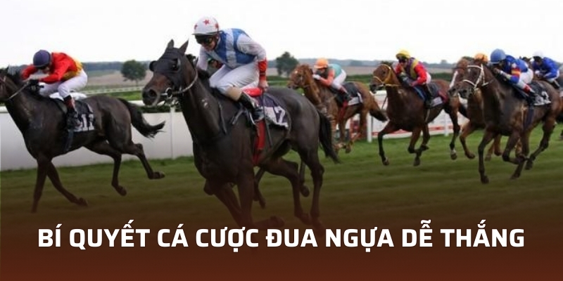 4 Hình Thức Cá Cược Đua Ngựa Tại Vin777 Phổ Biến Nhất 4 Bí quyết cá cược đua ngựa dễ thắng ngay từ lần đầu