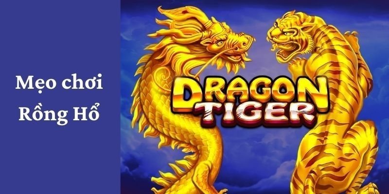 Mẹo Chơi Rồng Hổ Hiệu Quả Cho Mọi Đối Tượng 2025 3 Các mẹo chơi rồng hổ