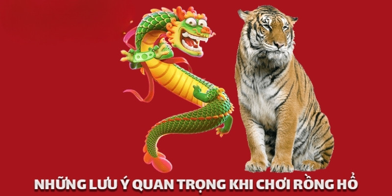 Mẹo Chơi Rồng Hổ Hiệu Quả Cho Mọi Đối Tượng 2025 4 Những lưu ý quan trọng khi chơi rồng hổ