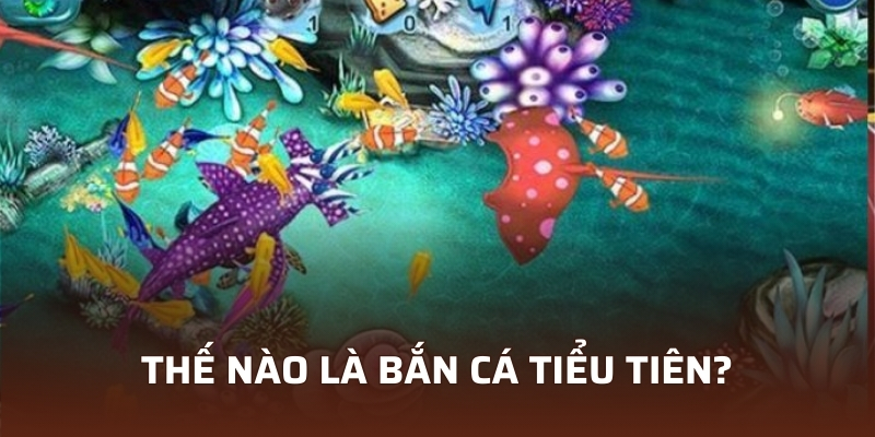 Top 3 Chế Độ Bắn cá Tiểu Tiên Thú Vị Nhất Có Mặt Tại VIN777 2 Thế nào là bắn cá tiểu tiên