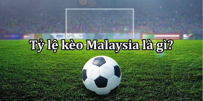 Giải Đáp Cho Bạn Về Tỷ Lệ Kèo Malaysia Trong Cá Cược 2 Tỷ lệ kèo Malaysia có cách hiểu không quá phức tạp