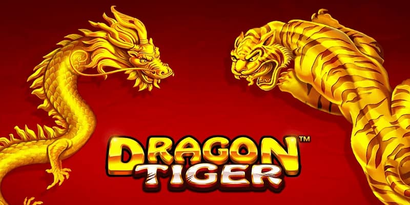Hướng Dẫn Chơi Rồng Hổ Chi Tiết Nhất 2025 Cho Người Mới 3 Các hình thức cược khác trong game rồng hổ