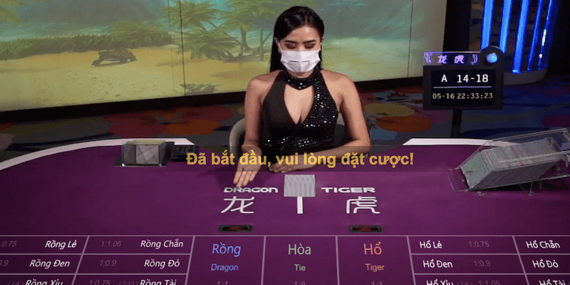 Mẹo Rồng Hổ Kubet Giúp Bạn Nhanh Chóng Trở Thành Cao Thủ 3 Soi cầu chính xác giúp tăng tỷ lệ thắng lên cao